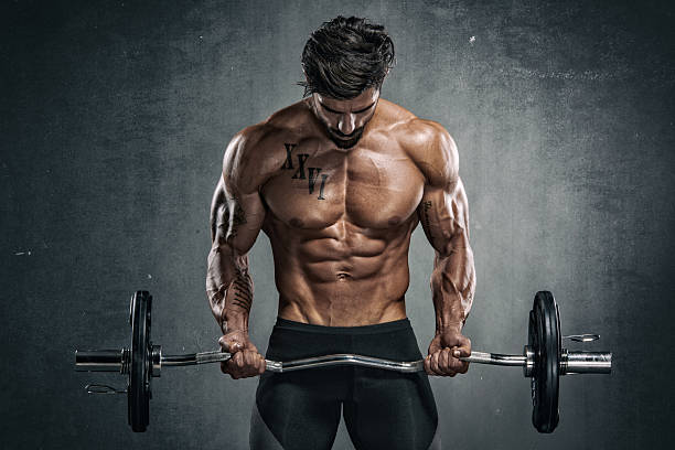 Muscular male bodybuilder doing bicep curls with barbell – bodybuilding workout for muscle gain